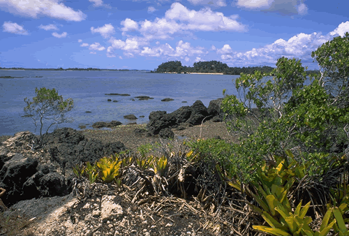 Paysages