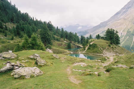 Paysage