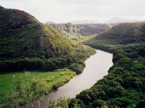 Paysage