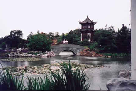 Pont