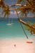 Paysages